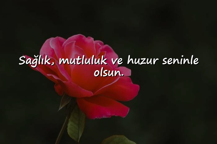 resimli etkileyici doğum günü mesajları - 11