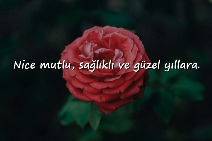 resimli etkileyici doğum günü mesajları - 1