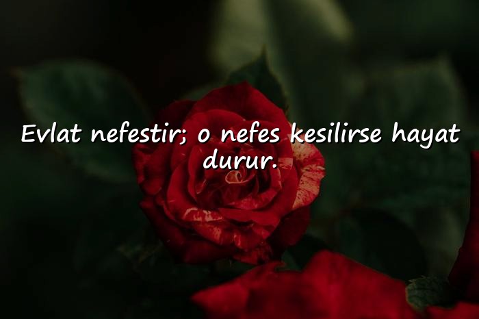 resimli evlat sözleri - 21