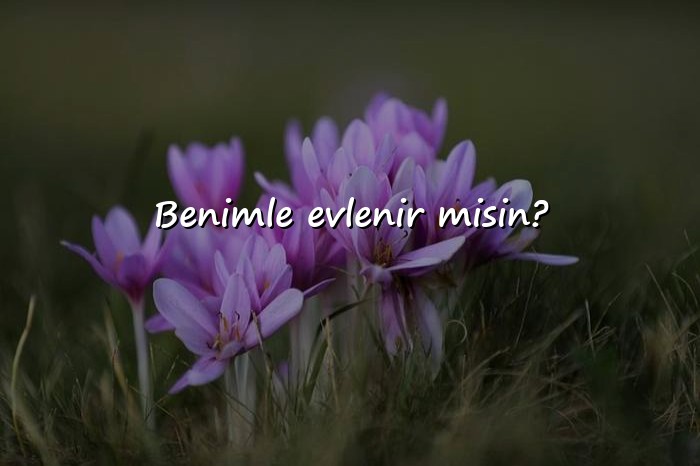 resimli evlilik teklifi sözleri - 1