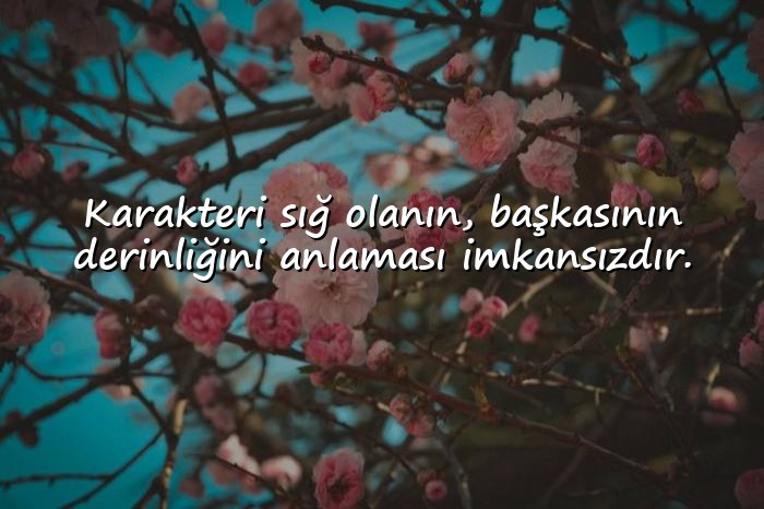 resimli fesat insanlara sözler	 - 11