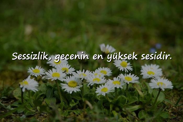 resimli gece sözleri - 16