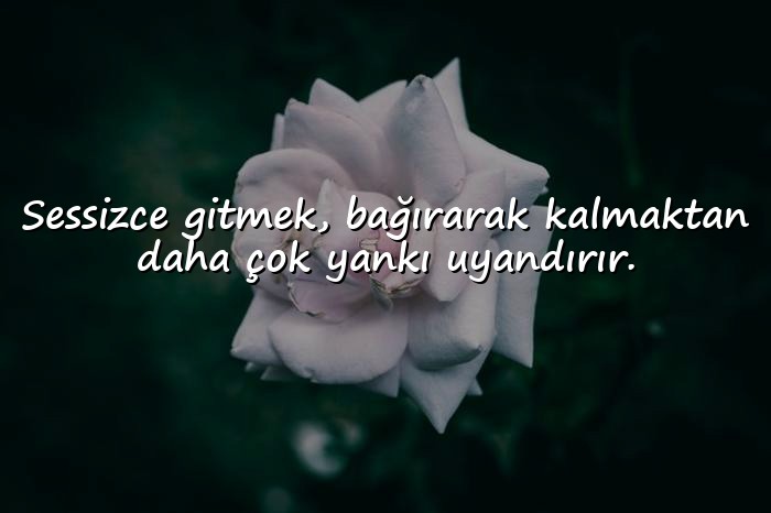 resimli gitmekle ilgili sözler - 6