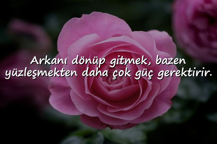 resimli gitmekle ilgili sözler - 11