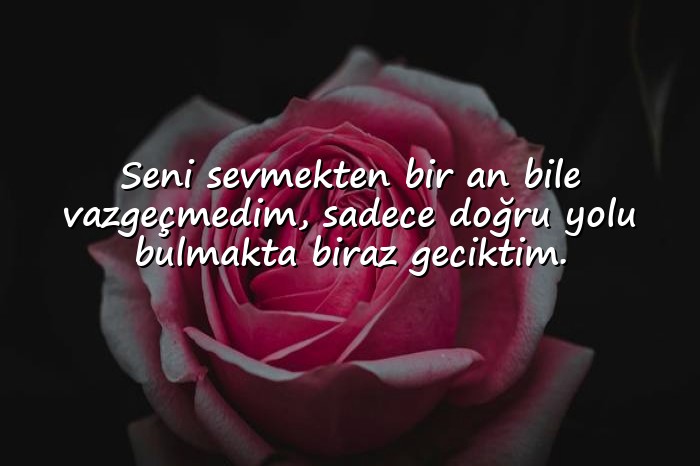 resimli Gönül alma sözleri - 10
