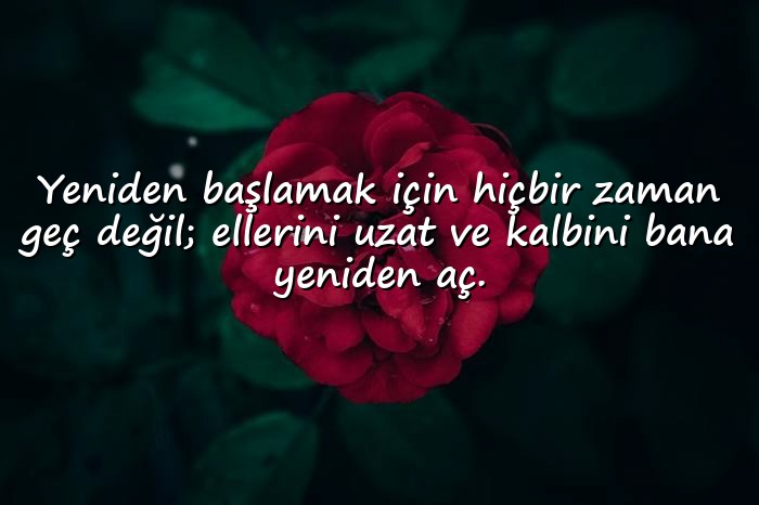 resimli Gönül alma sözleri - 1