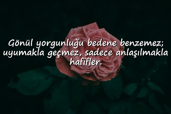 resimli gönül ile ilgili sözler	 - 6
