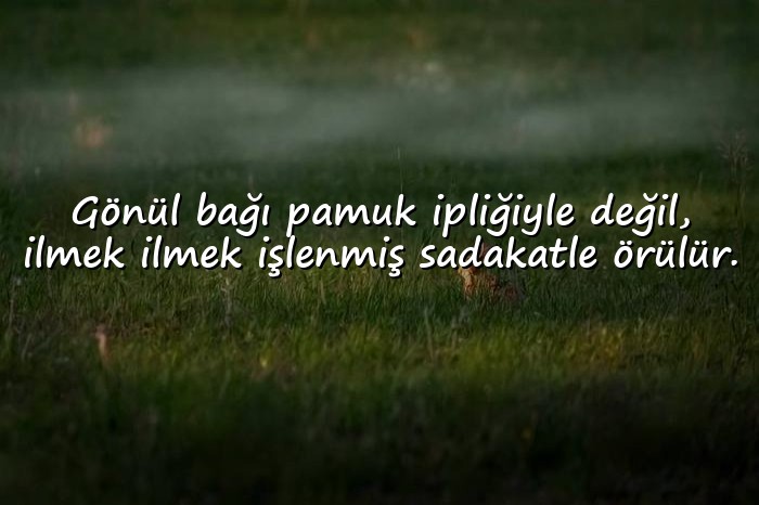 resimli gönül ile ilgili sözler	 - 16