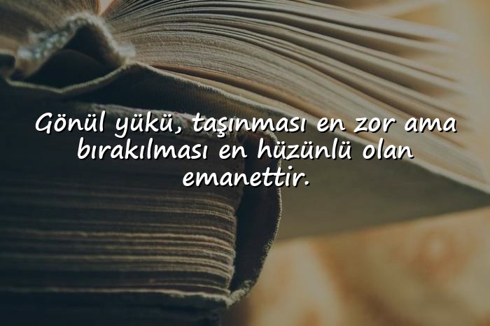 resimli gönül ile ilgili sözler	 - 11