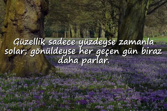 resimli gönül ile ilgili sözler	 - 6