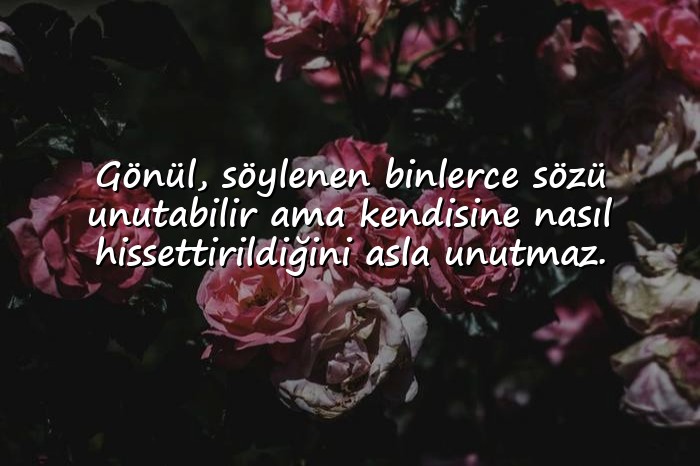 resimli gönül ile ilgili sözler	 - 1