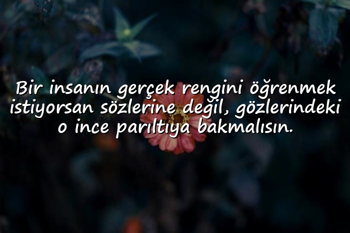 resimli gözler ile ilgili sözler - 6