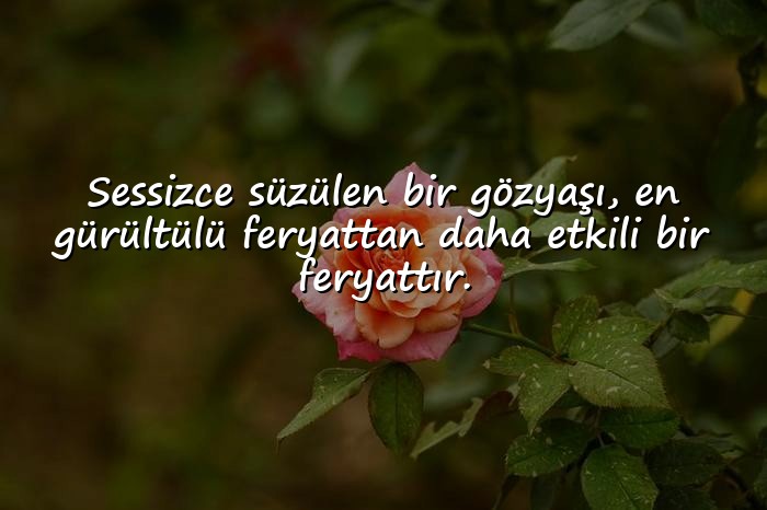 resimli gözler ile ilgili sözler - 11