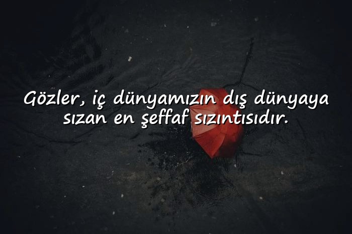 resimli gözler ile ilgili sözler - 6