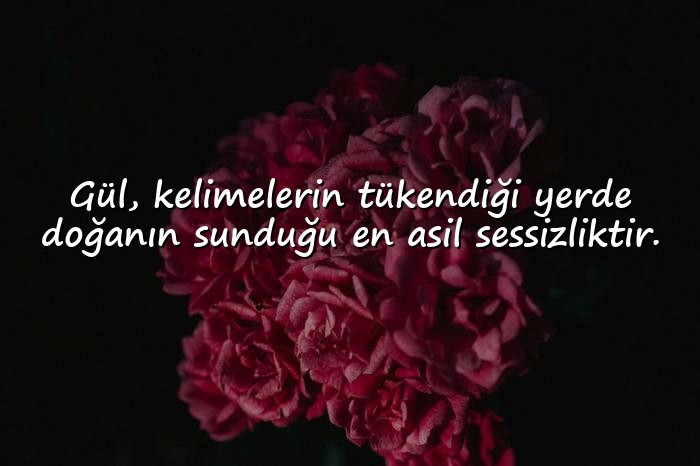 resimli gül ile ilgili sözler - 1