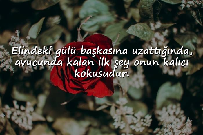 resimli gül ile ilgili sözler - 21