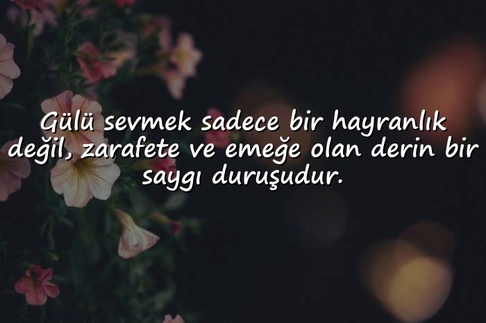 resimli gül ile ilgili sözler - 16