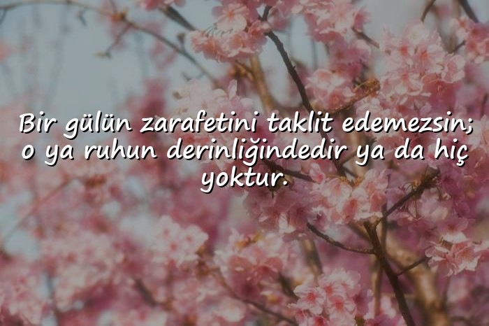 resimli gül ile ilgili sözler - 6