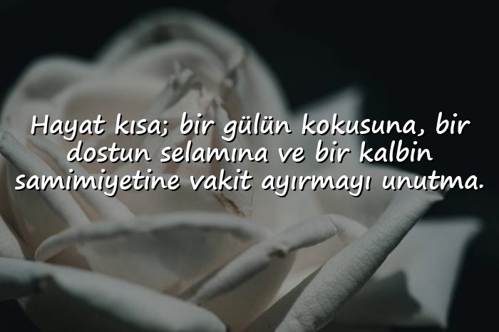 resimli gül ile ilgili sözler - 1