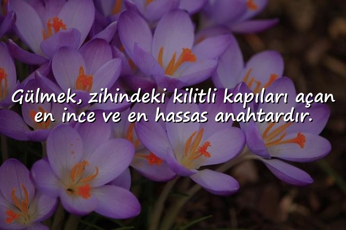 resimli gülmek ile ilgili sözler - 11