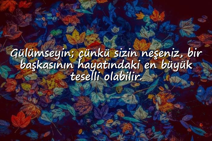 resimli gülmek ile ilgili sözler - 1