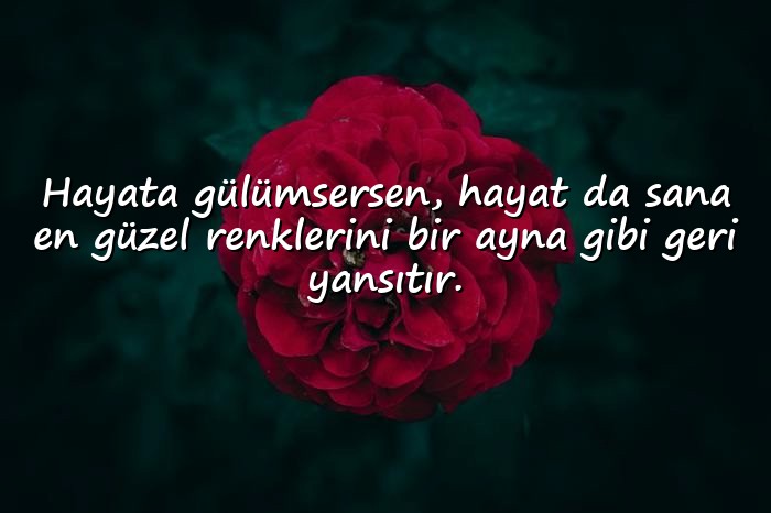 resimli gülümseme sözleri - 6