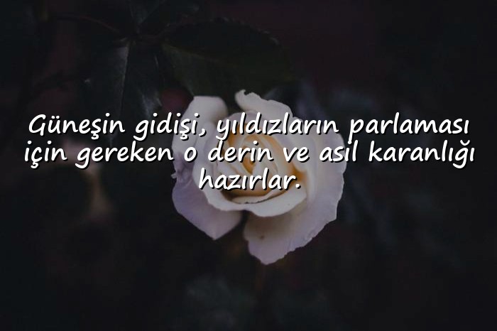 resimli gün batımı ile ilgili sözler - 1
