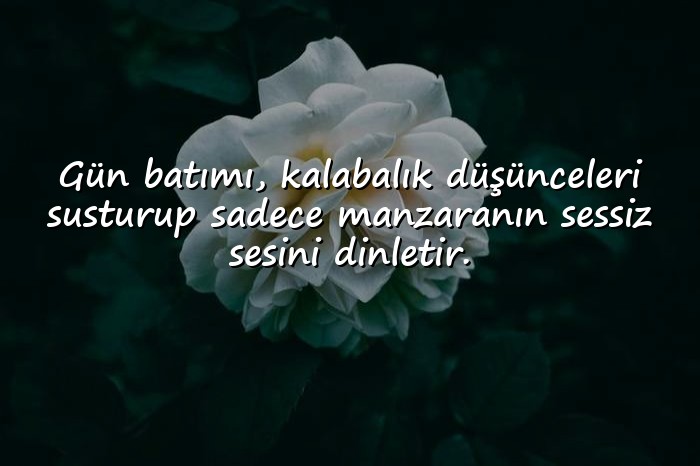 resimli gün batımı ile ilgili sözler - 11