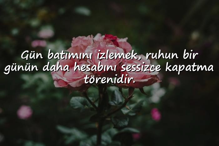 resimli gün batımı ile ilgili sözler - 1