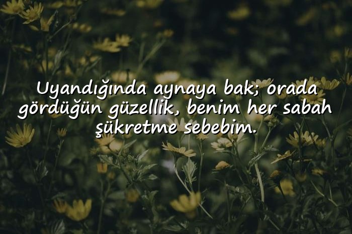 resimli günaydın aşk sözleri - 11