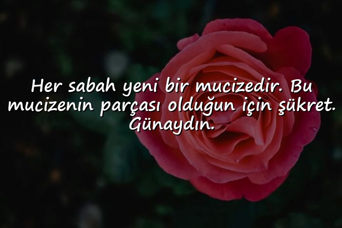 resimli günaydın mesajları - 4