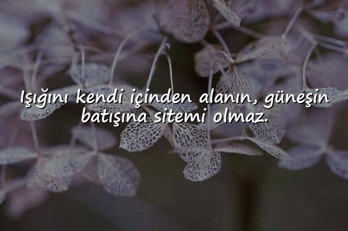 resimli güneş ile ilgili sözler - 21