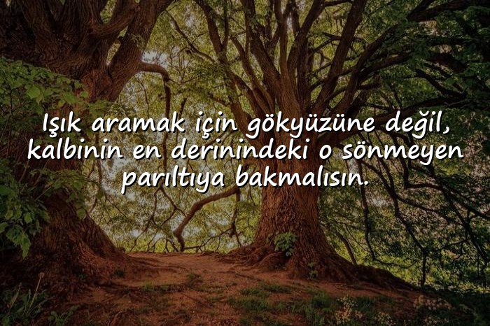 resimli güneş ile ilgili sözler - 16