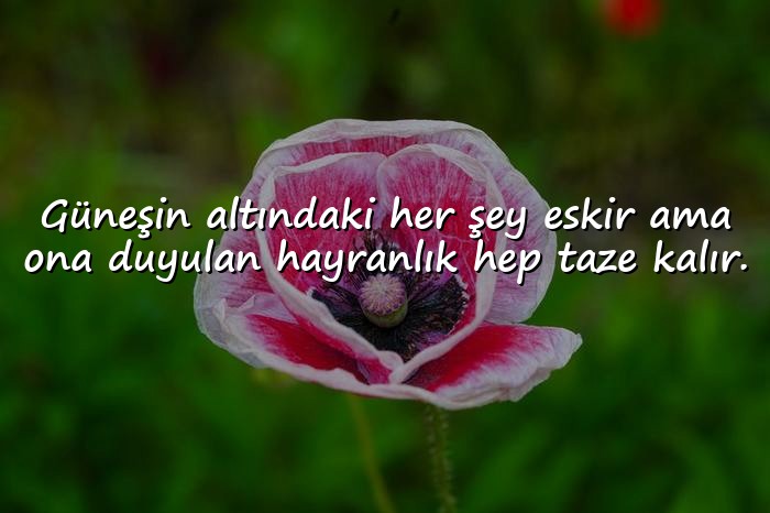 resimli güneş ile ilgili sözler - 11