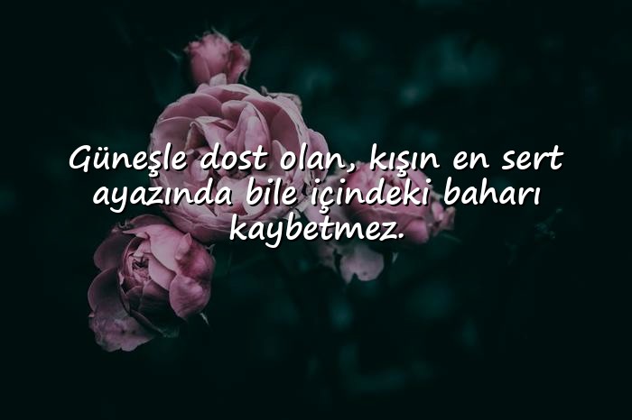resimli güneş ile ilgili sözler - 6
