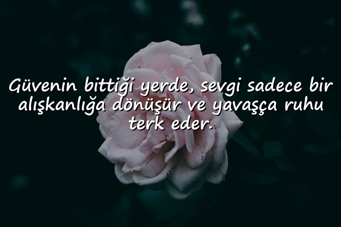 resimli güven ile ilgili sözler - 6