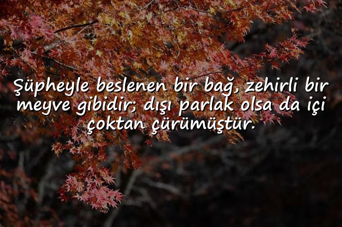 resimli güven ile ilgili sözler - 16