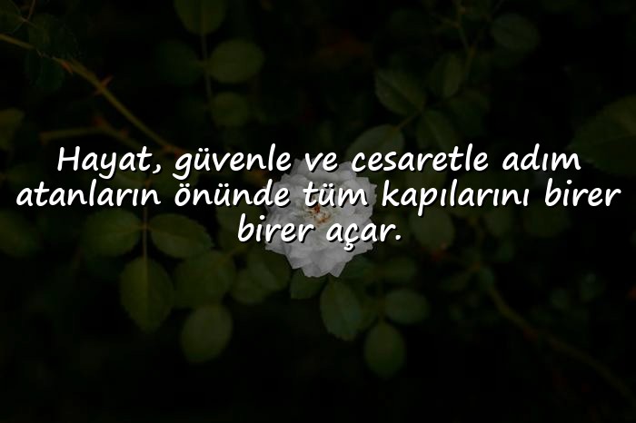 resimli güven ile ilgili sözler - 1
