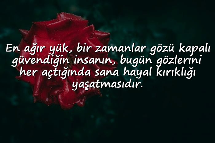 resimli güven kırıklığı ile ilgili sözler	 - 1