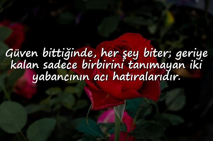resimli güven kırıklığı ile ilgili sözler	 - 1