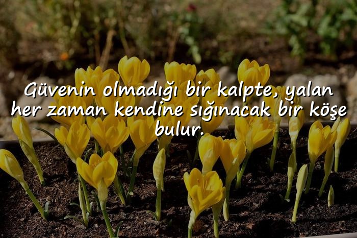 resimli güven ve yalanla ilgili sözler - 16