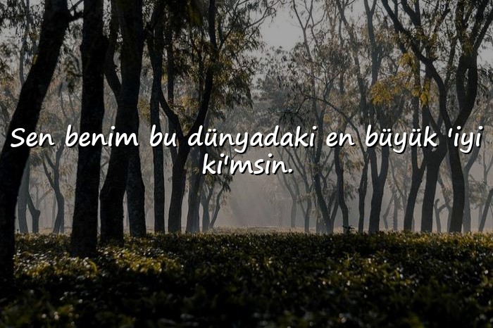 resimli güzel aşk sözleri - 8