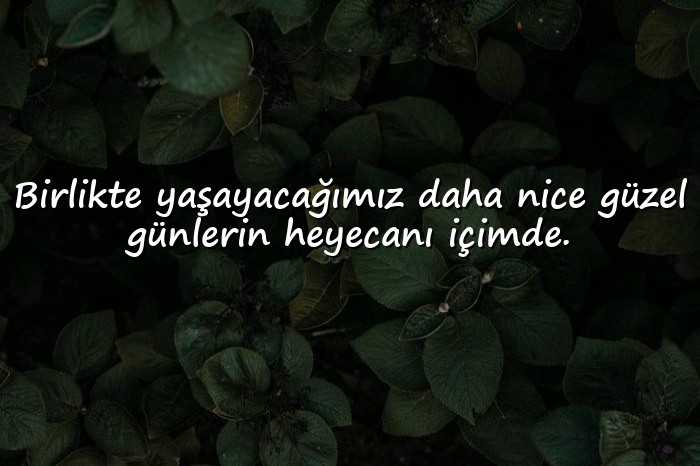 resimli güzel aşk sözleri - 3