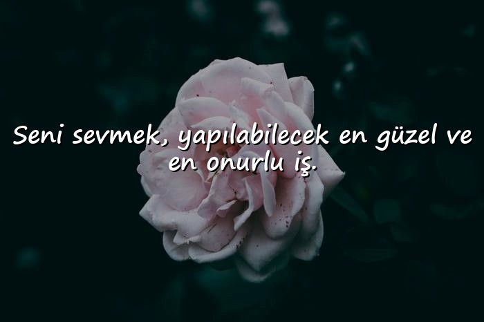 resimli güzel aşk sözleri - 1