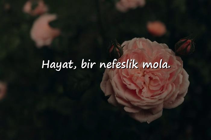 resimli güzel kısa sözler - 7