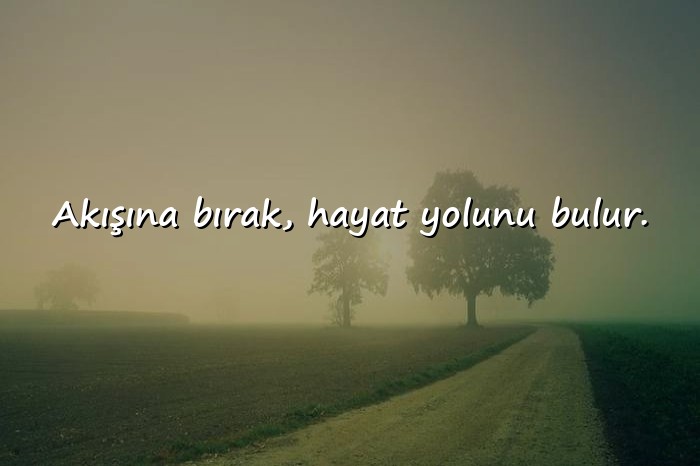 resimli güzel kısa sözler - 12