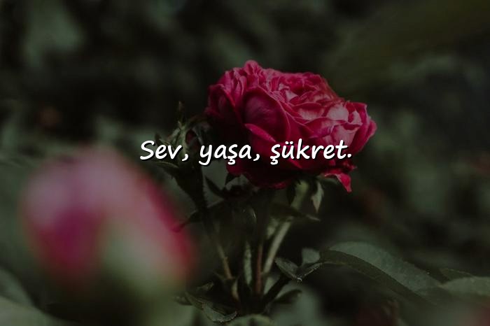 resimli güzel kısa sözler - 7