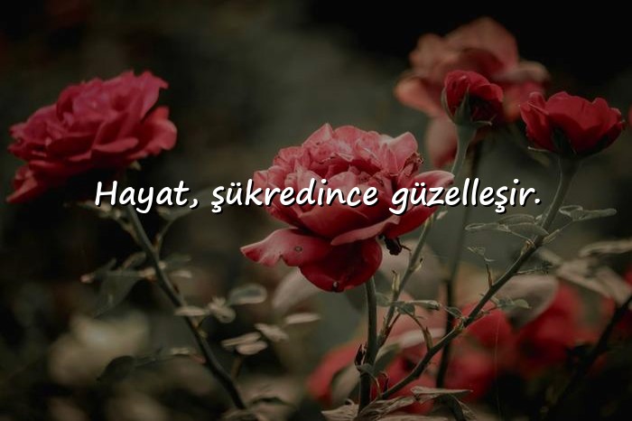 resimli güzel sözler kısa - 6