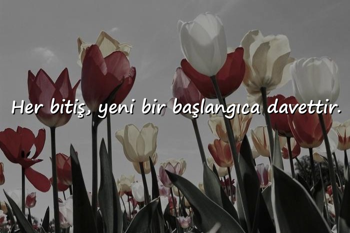 resimli güzel sözler kısa - 1