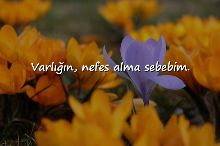 resimli güzel sözler kısa - 11